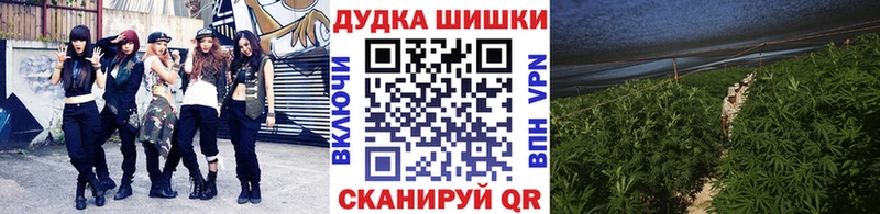 Бошки Шишки Bruce Banner  как найти закладки  Нижневартовск 